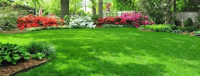 Nutri-Green Lawn Care (Claim Me!)